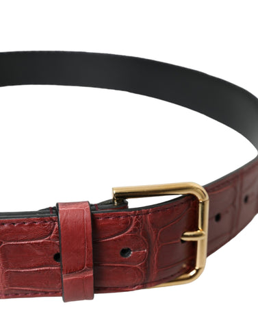 Dolce & Gabbana Brown Alligator Leather Studded Metal Buckle Belt